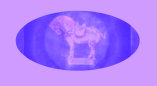 050901_brewerania_collectors_clarice_cliff_art_deco001019.jpg